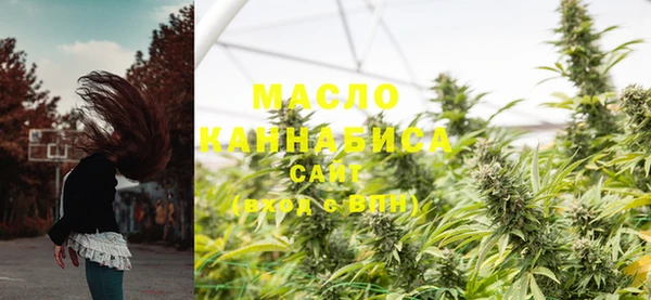 молекула духа Коряжма