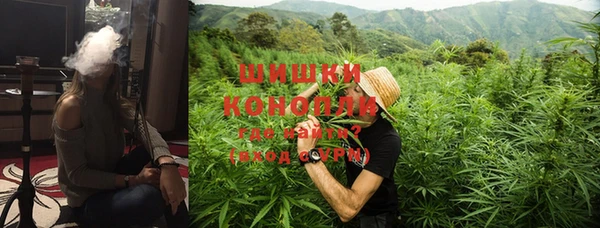 молекула духа Коряжма