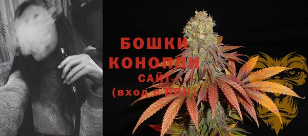 тгк Костерёво