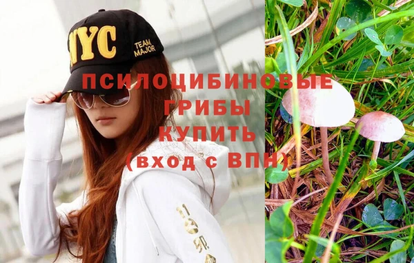 тгк Костерёво