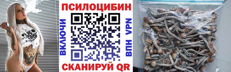 Псилоцибиновые грибы MAGIC MUSHROOMS  Купить закладки  Калининск 